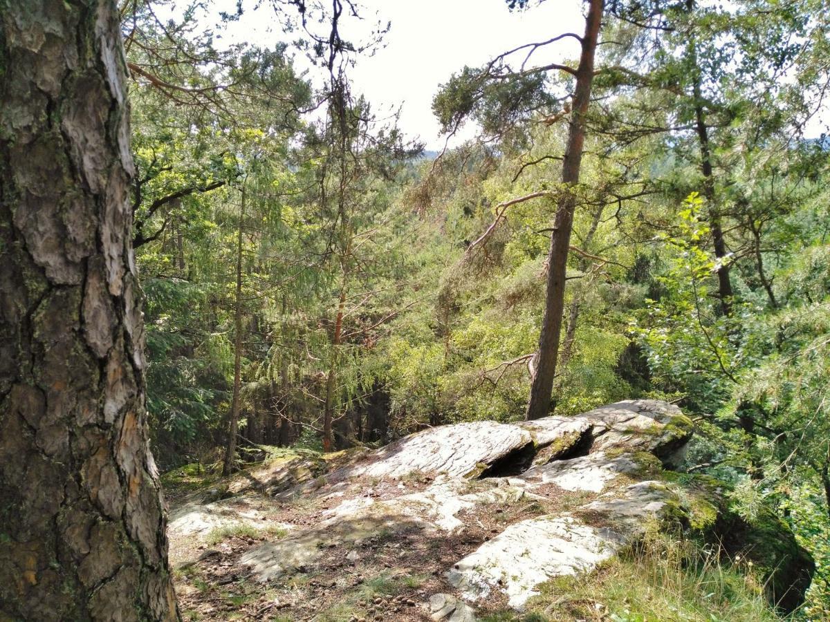 Gladenbach Fewo Well מראה חיצוני תמונה